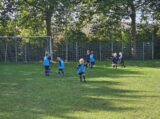 Mini Toernooitje op Sportpark Het Springer met S.K.N.W.K. JO7 en De Jonge Spartaan JO7 (93/174)